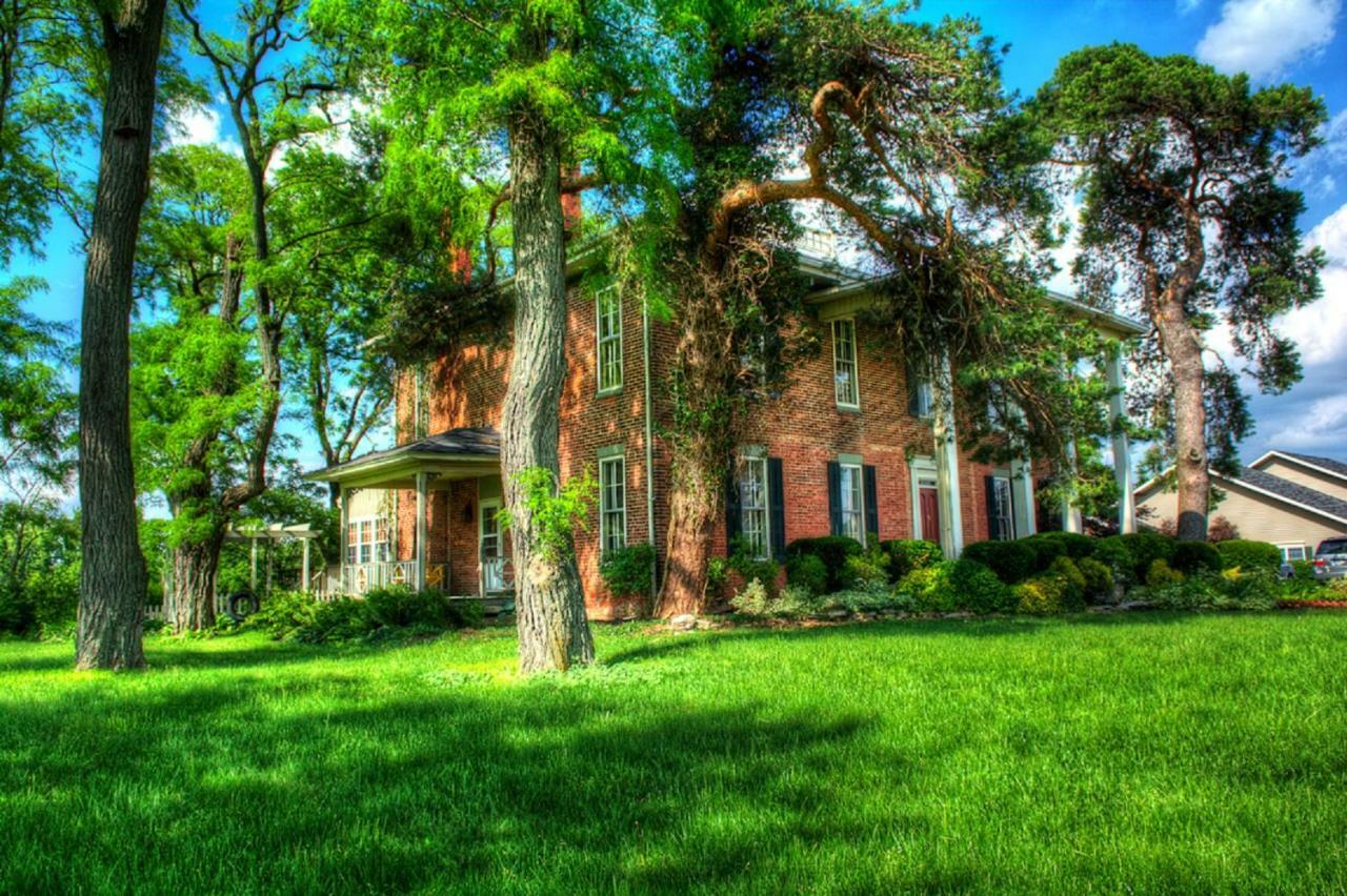 Emma'S Bed And Breakfast Springfield Esterno foto